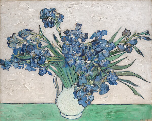 PLACEHOLDER: Irises